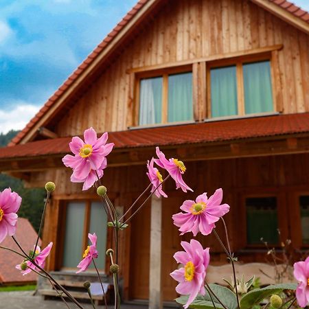 Dolomiti Village Comeglians المظهر الخارجي الصورة